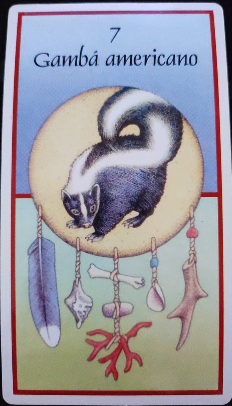 Animal da Semana – Gambá Americano